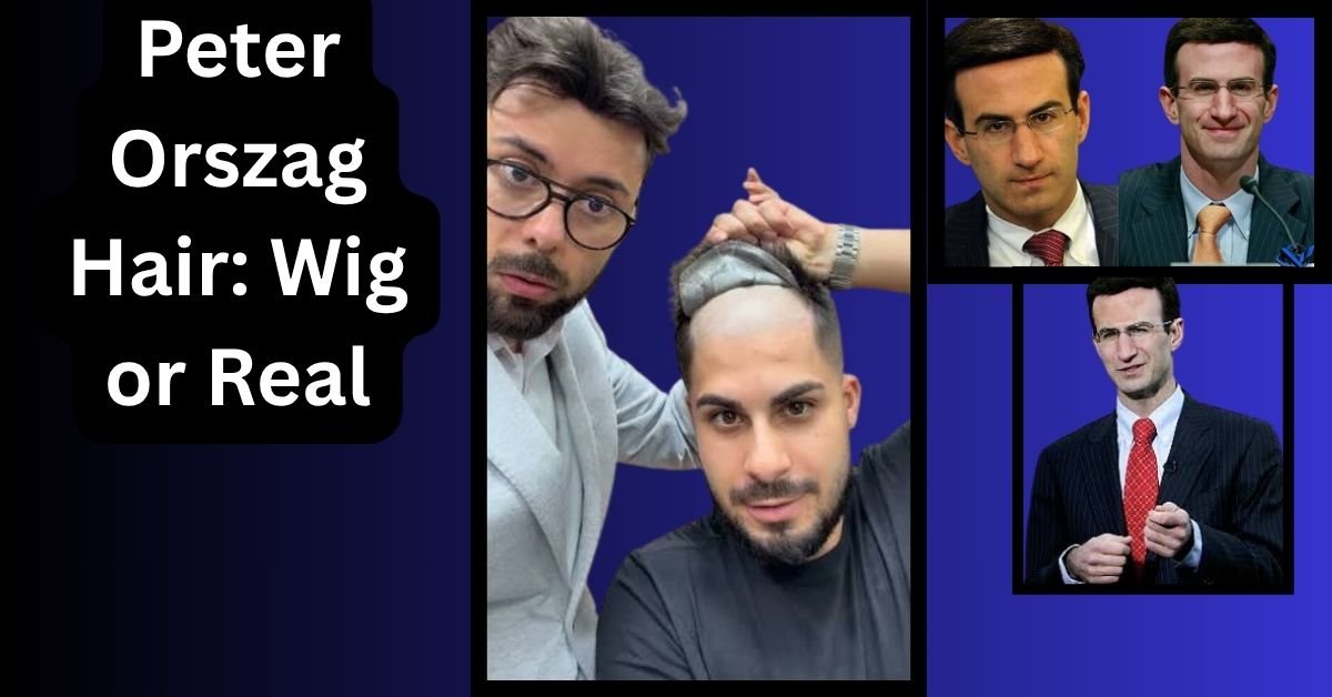 Peter Orszag Hair: Wig or Real? Full Facts